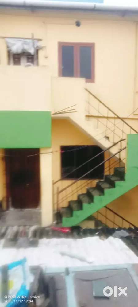 All bachelorette women's allowed(working woman, PG,ug students,)