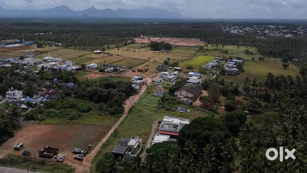 Times Property Developers