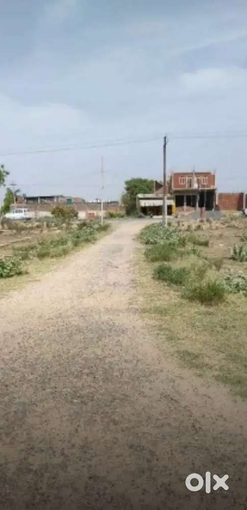 Dabal roed plot suditi global school  ke pas