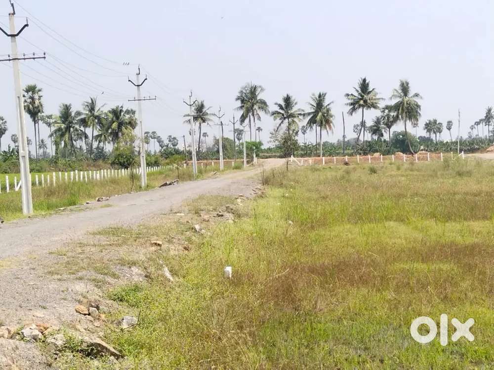 పెనమలూరు లొ low cost plots