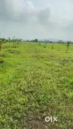 Festival Dhamka offer NA Open Bungalow Plot at 0% interest Easy EMI