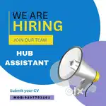 Hiring Hub Assistant