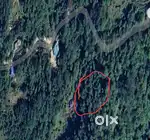 location changey/gakcha, below road,, Pakyong district.