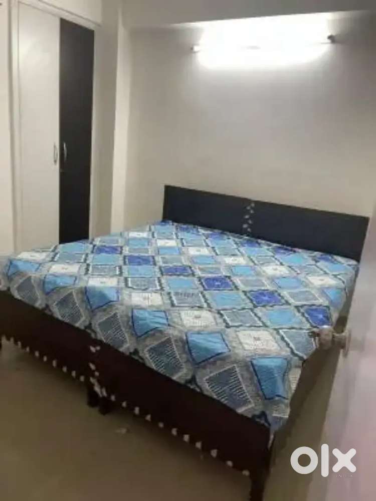 Family 1 bedroom kitchen bath sector 43 Chandigarh