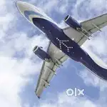 Airport Ground staff jobs in Indigo Airlines urgent hiring Apply Fast