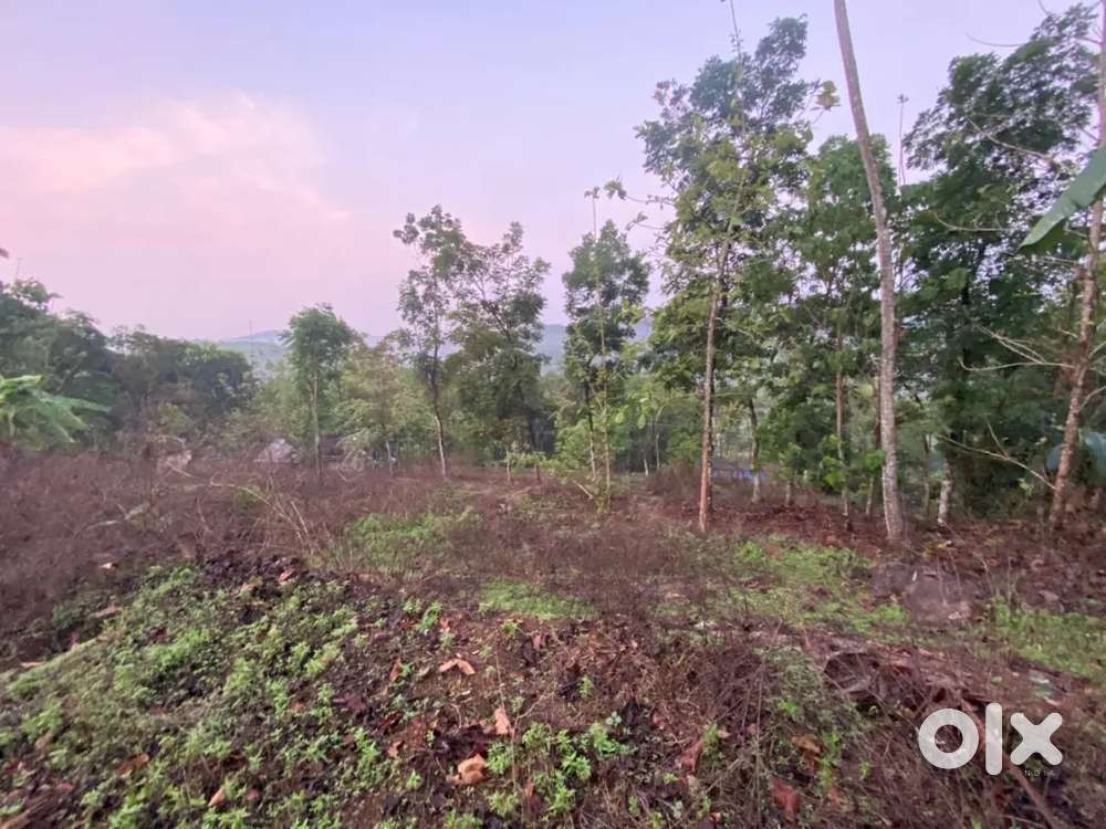 1 acre agricultural/commercial land