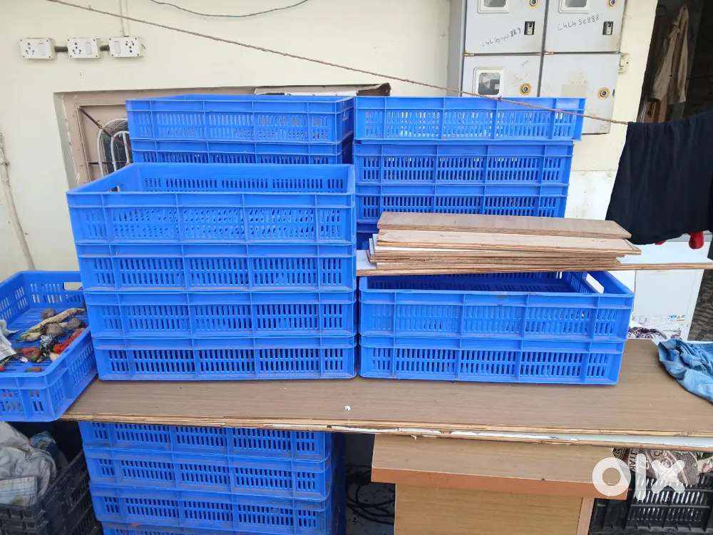 Vegetables storage Taye