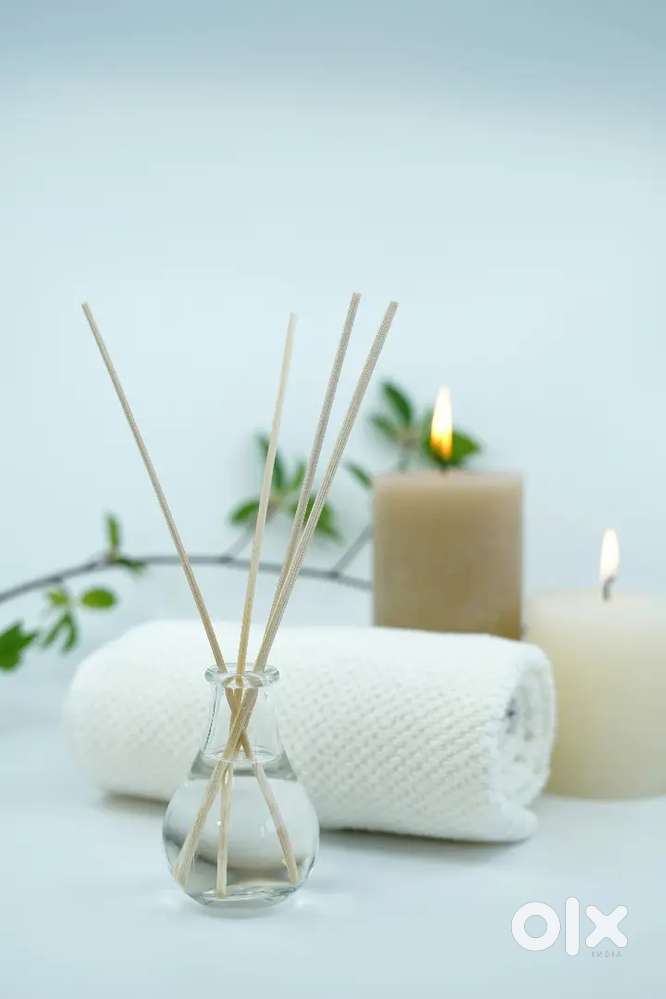 Spa therapist job in Ludhiana