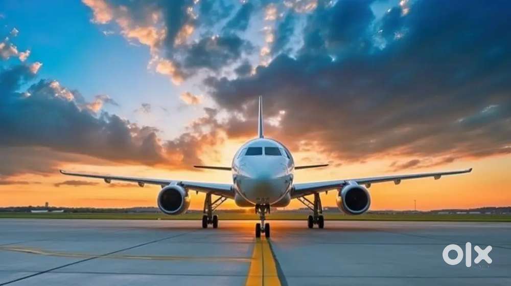 Now hiring for indigo airlines apply fast