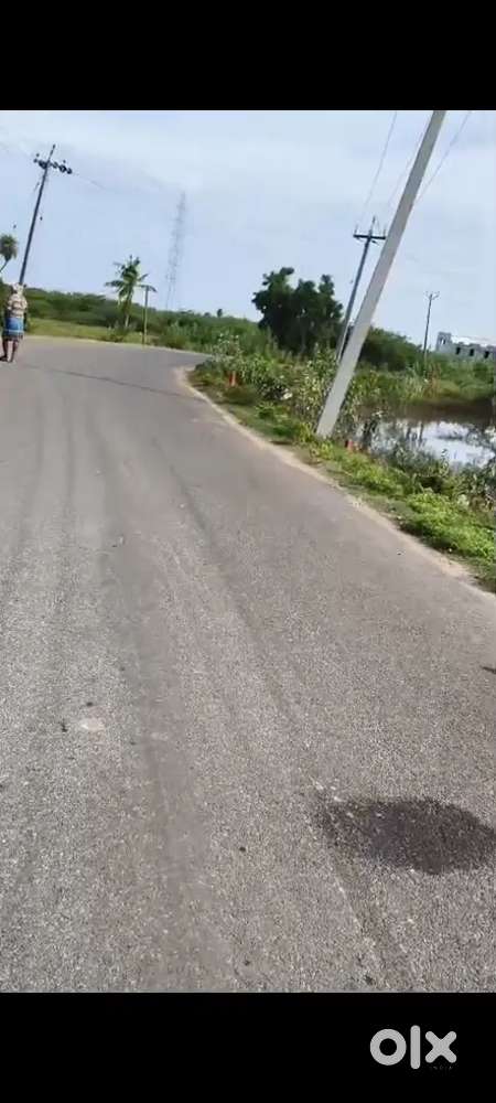 45 cent on Road6km from Indian Institute of Information Technol