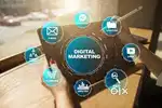 Digital Marketing Executive
