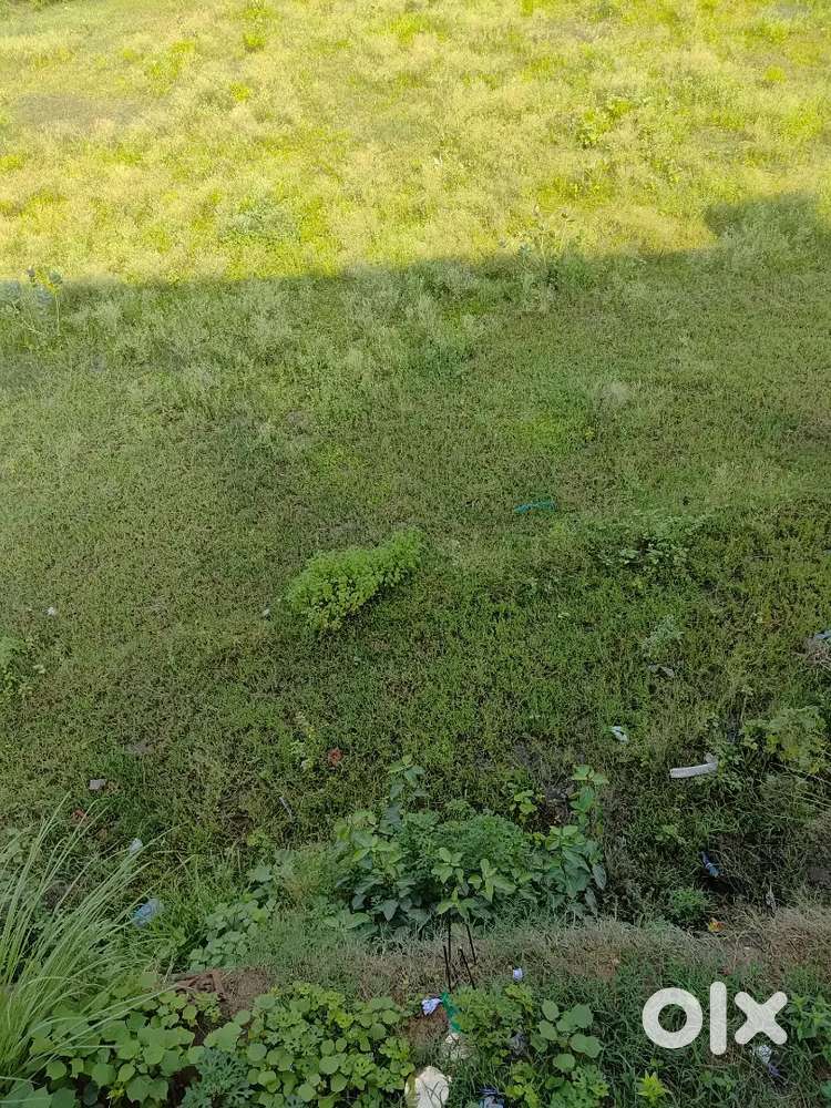 Plot for sell in mankatha road