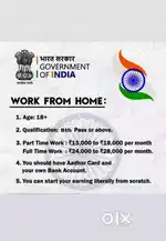 Work from home government project