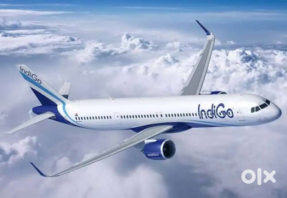 INDIGO AIRLINES JOB VACANCY FOR AIRPORT GROUND STAFF/DRIVER/CABIN CREW