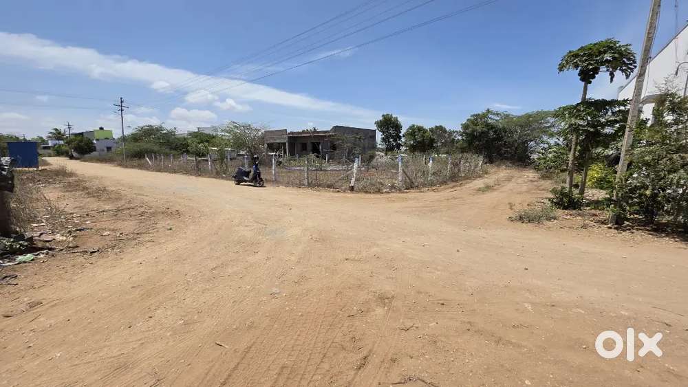House Site for Sale – Pappampatti, Coimbatore District