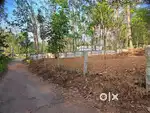 50cent good plot at kuttichal