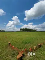 Plot and farm houses