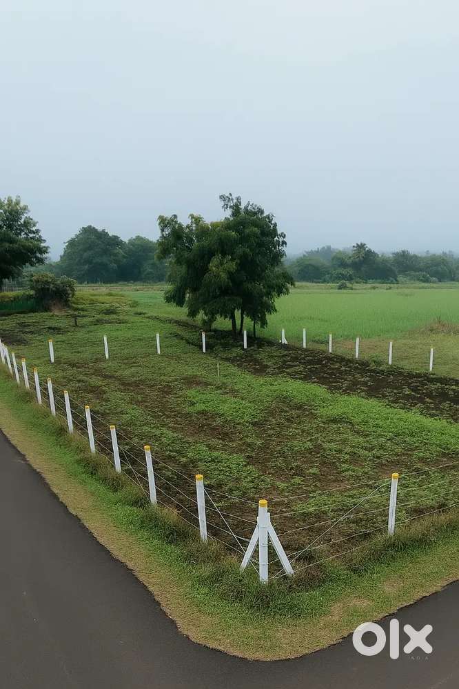 Commercial Investment Plot – Mane Nager, Rasbihari Meri Link Road!