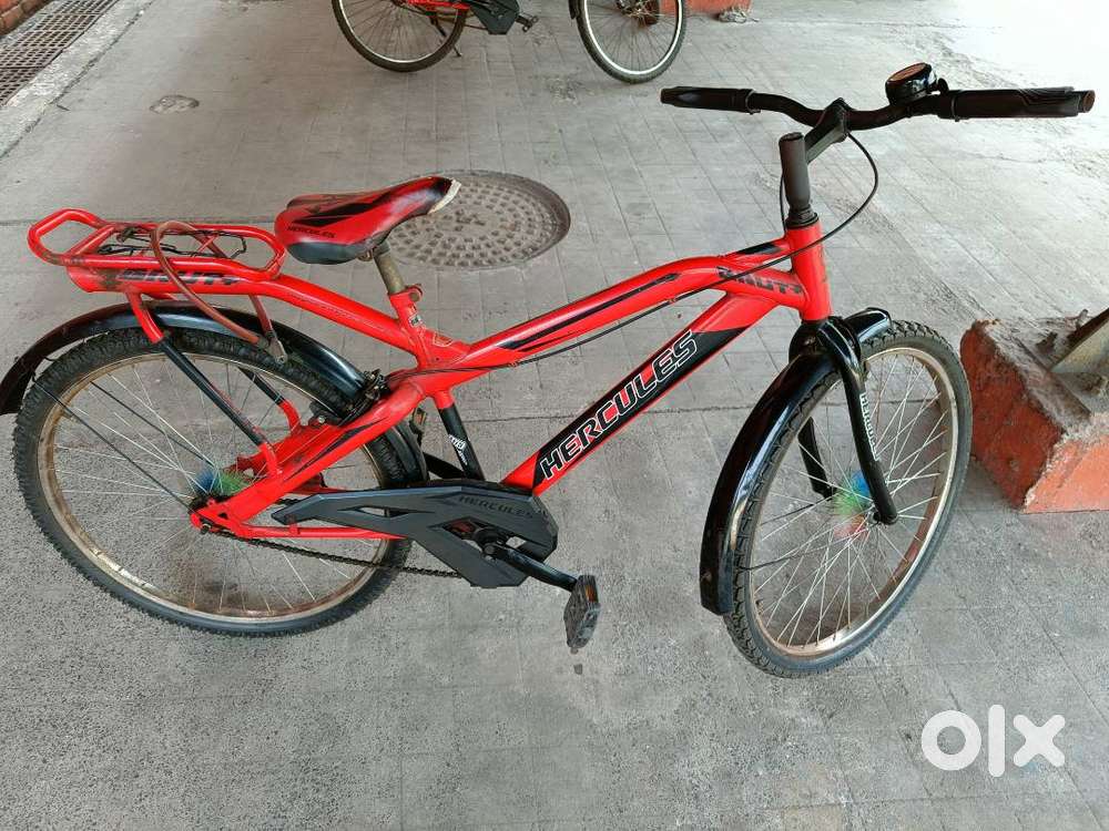 Hercules cycle, 5 years old