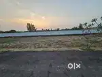 ALL SIZE PLOTS AVAILABLE BULANDSHAHR TO HAPUR HIGHWAY ROAD (GULAOTHI)