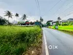 10 CENT COMMERCIAL PLOT (LAND) FOR SALE AT KAKKANAD VIKASAVANI