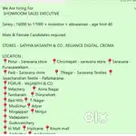 sales executive