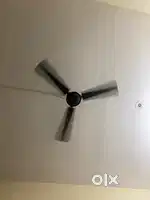 Ceiling fan for sale