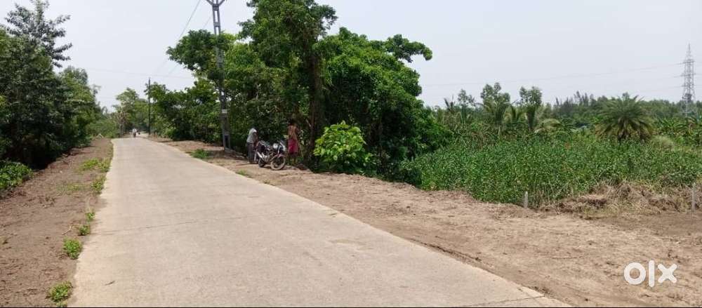 Plot for sale in Alasana 2km from Water Park, Malatipatapur