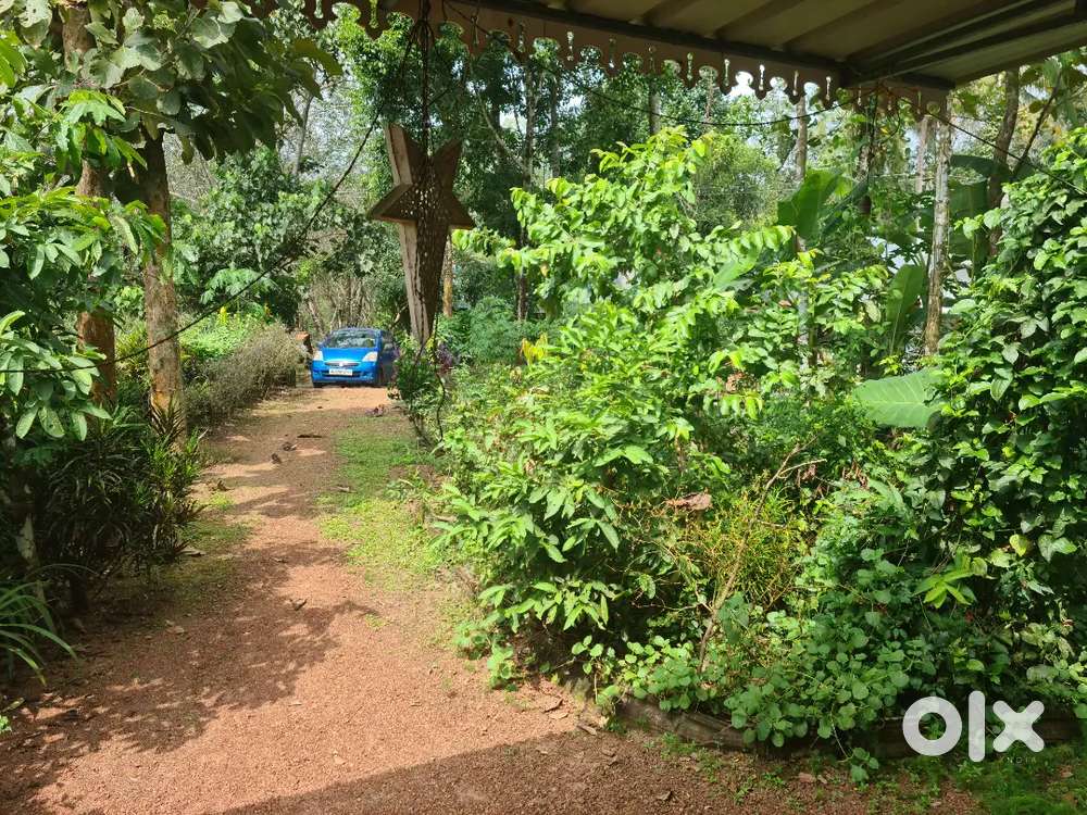 13 cent plot and small house.near  Kothanalloor jn
