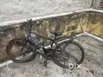 Streetchampion teenager bicycle in Grey & black color