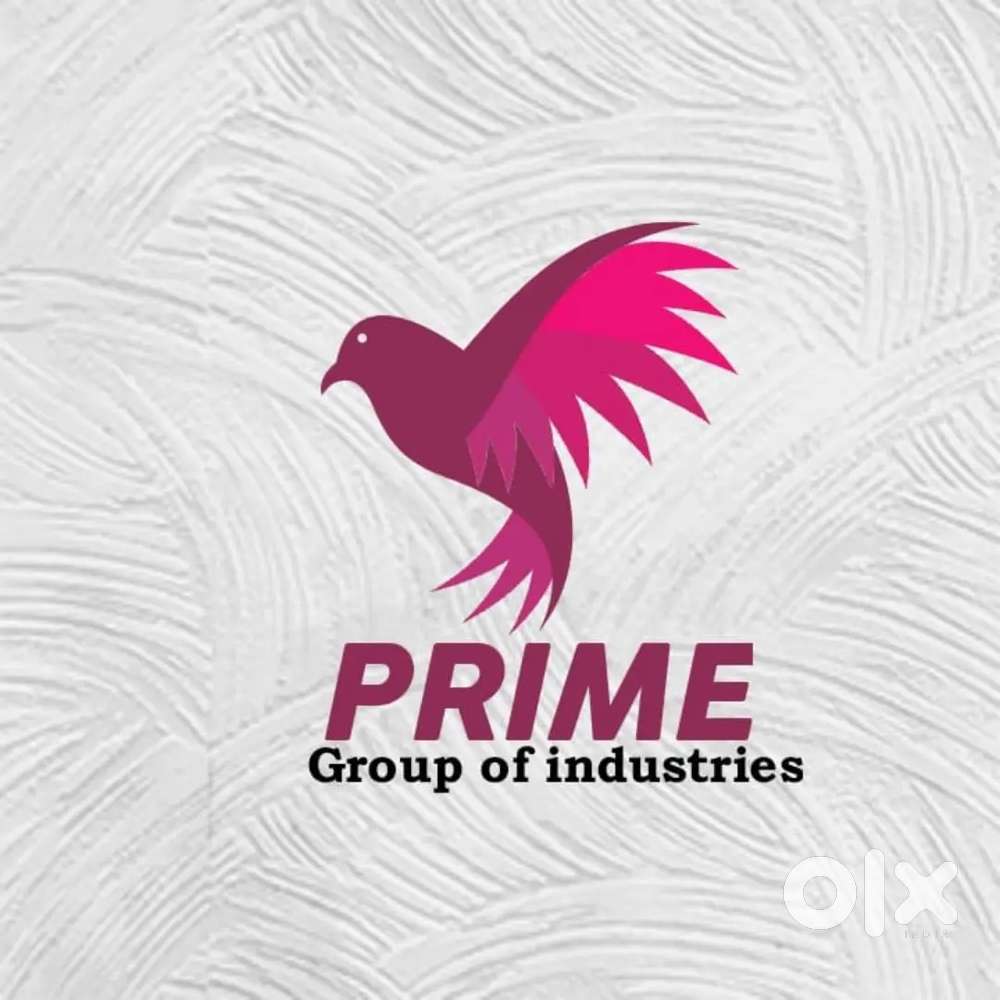 Field Collection Executive