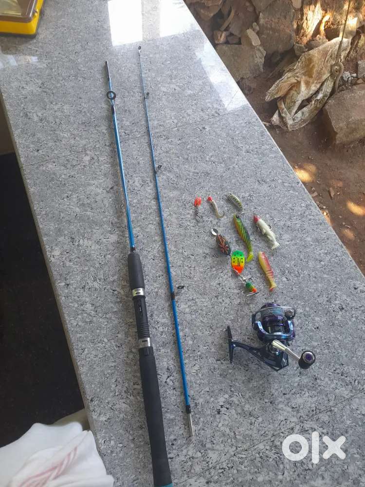 Fishing rod