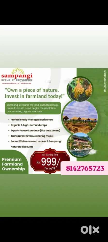 Investment yealy income based  15 years free maintenance