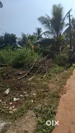 Land plot for sale in ottapalam.Perfect plot for home construction.