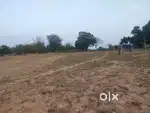 5 acre land for sale govindpur bedho mukhyamarg lapoon