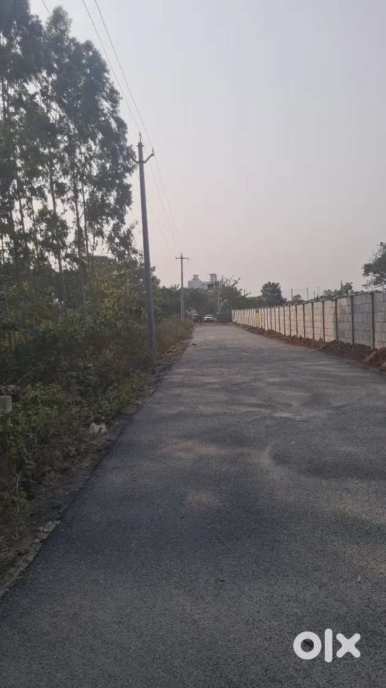 Nidigattu harbor city layout beside 484 sqyds narth face plot for sale