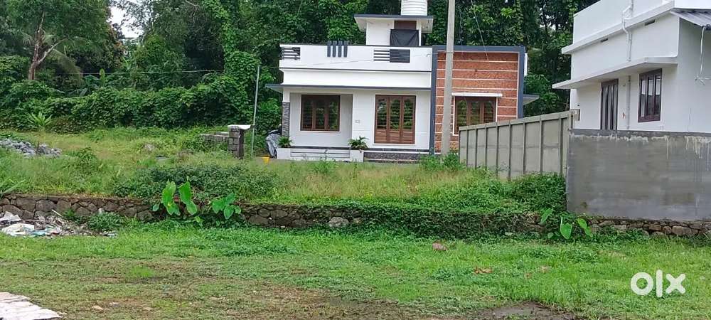 NEAR ANGAMALY AIRPORT 4,5,6,8,10 CENT FOR SALE