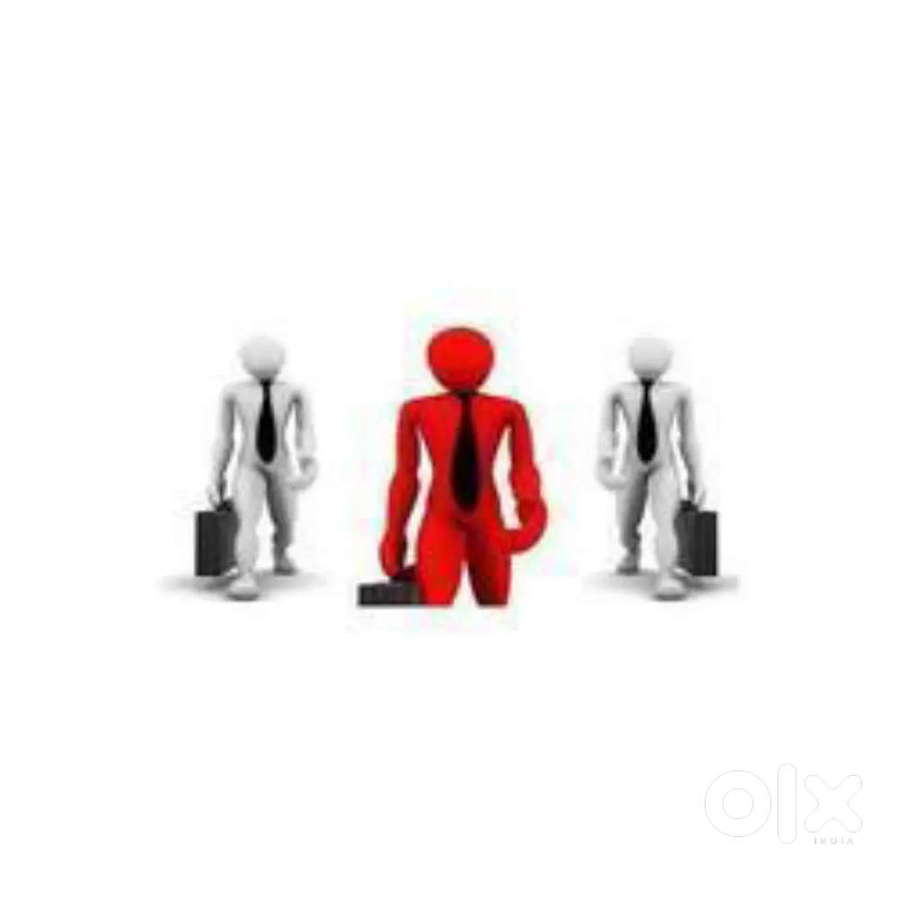 Collection Executive