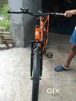 3 months old Avon cycle