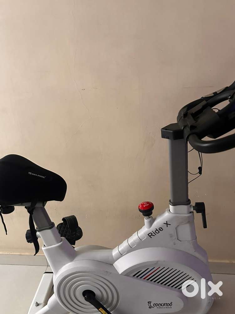 Cocktaoo Ride X excercise bike