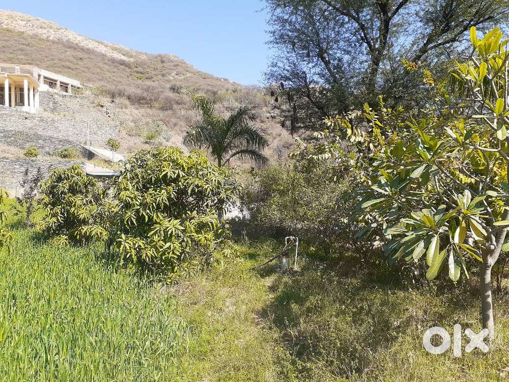 Luxury Farm House near Eklingji