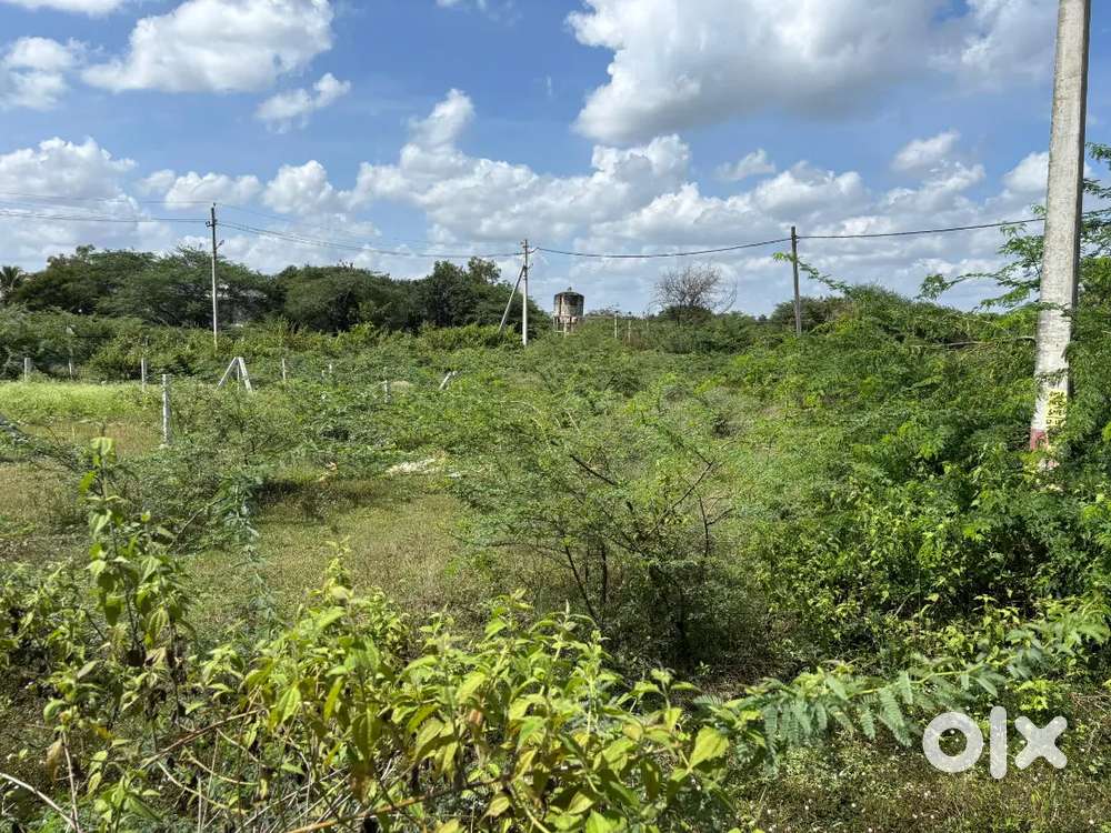 Site Near Saint Aloysius College