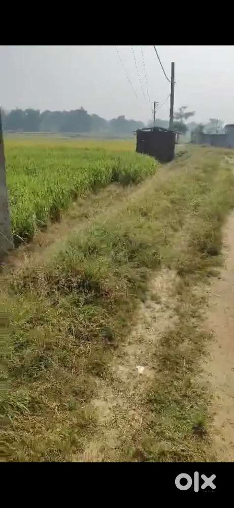 Genral plot 20 dismil 2 lakh par dismil