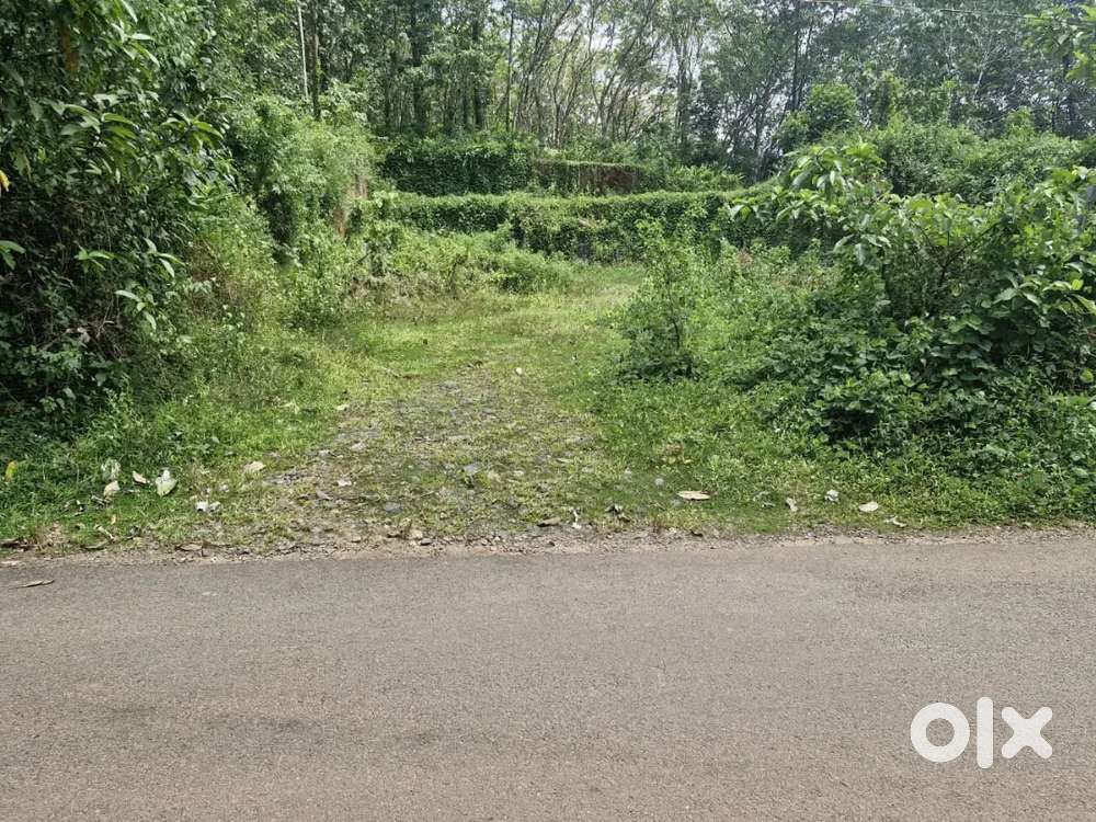 Prime location with excellent road frontage