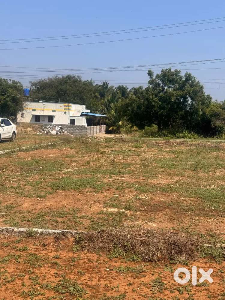 Low budget investment farm land