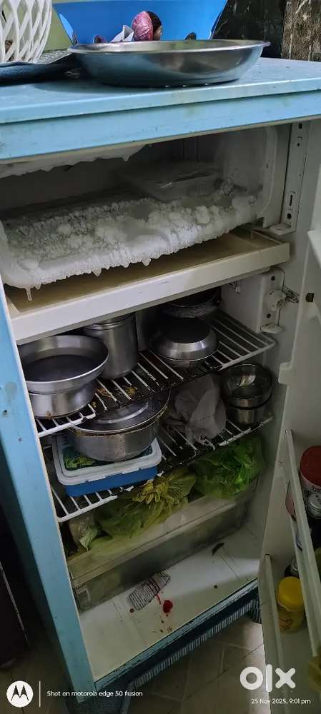 Refrigerator for sell