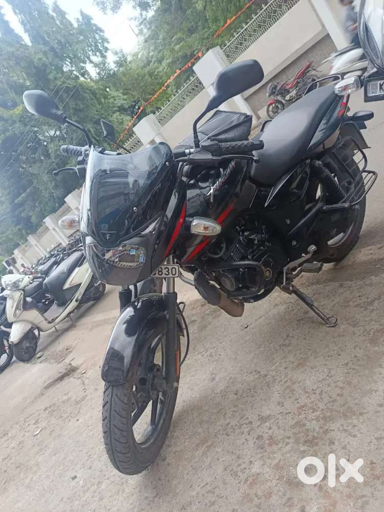 New conditioned Pulsar 125- 2024 with new tyres