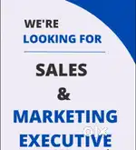 Marketing Executive