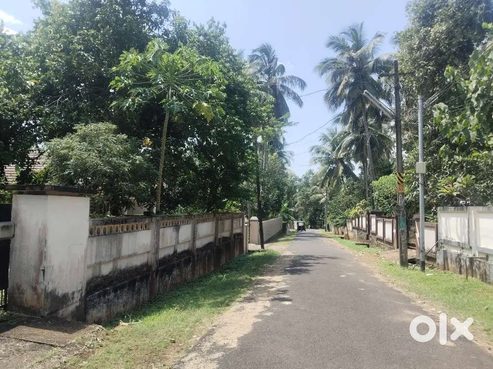 Thrissur kuriachira near nehru nagar colony 26 cent plot for sale