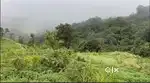 5 Acre Land for Sale – Gowdahalli, Mudigere